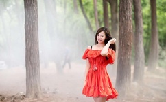 杨惠妍连蝉女首富